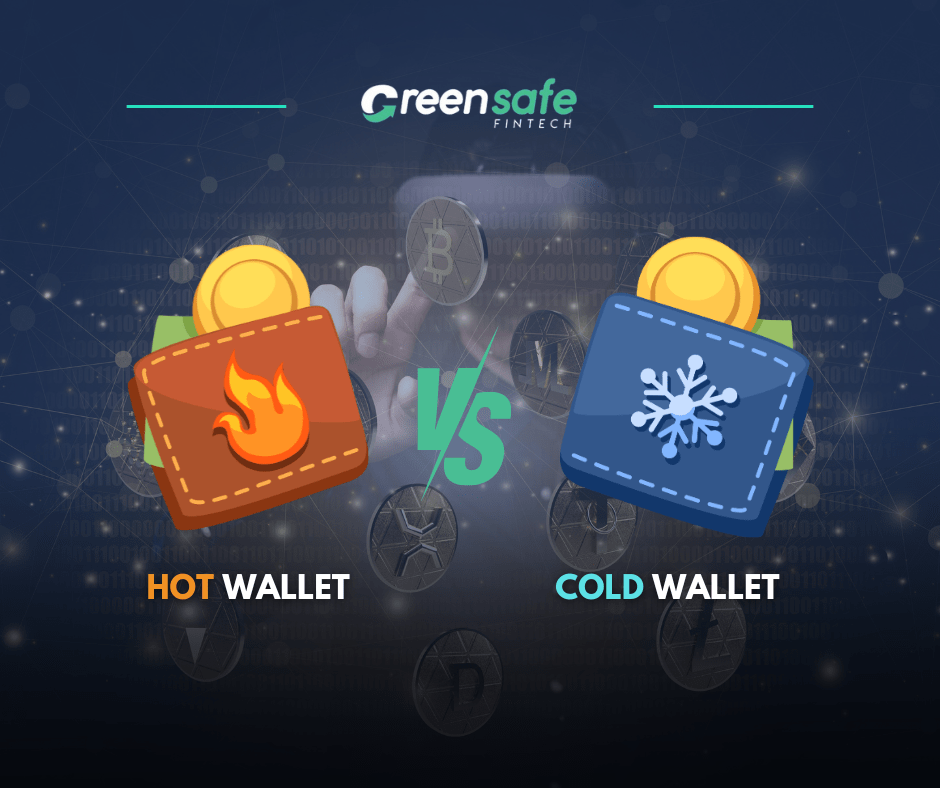 Hot Wallet and Cold Wallet