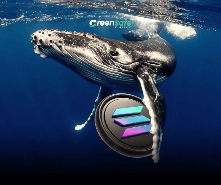 Solana whale